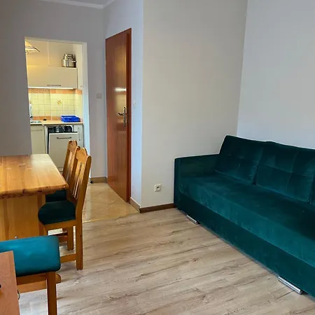 Baracuda 홈스테이